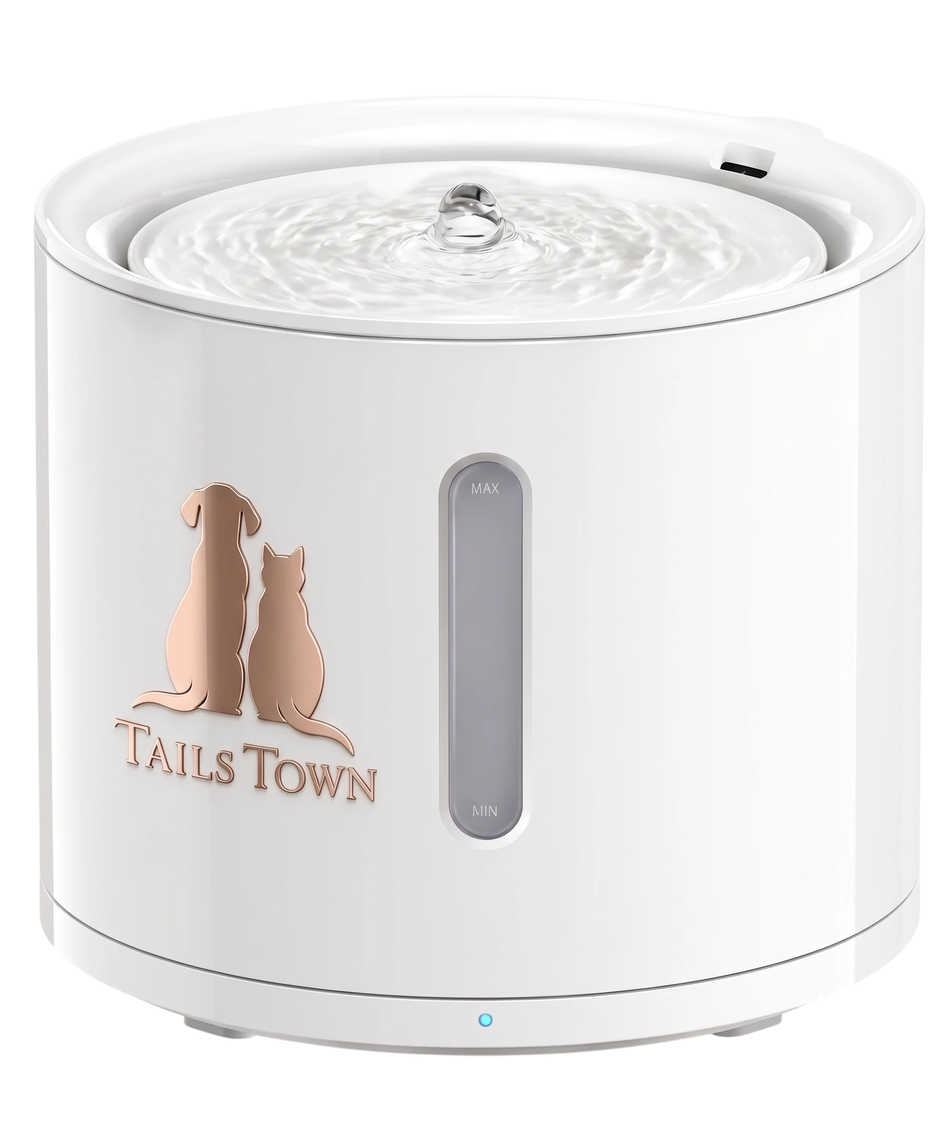 Tail's Town water fountain